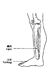 阴痒