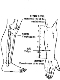 疏肝胁