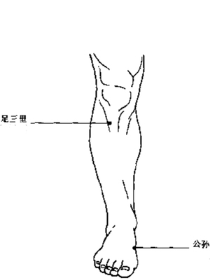 助化