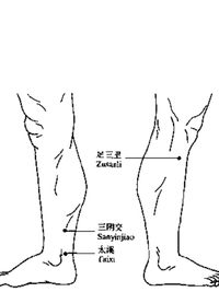 下痿三针