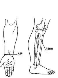 筋脉会