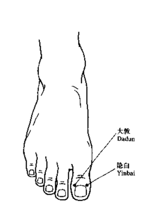 白敦