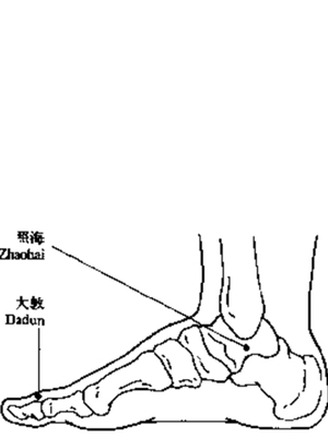 海敦