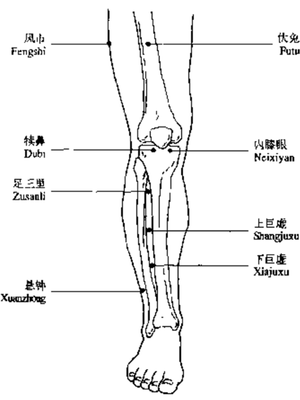 脚气八处灸穴