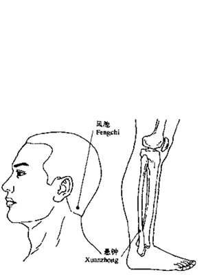 伛偻穴