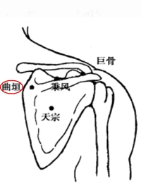 曲垣穴