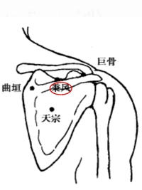 秉风穴