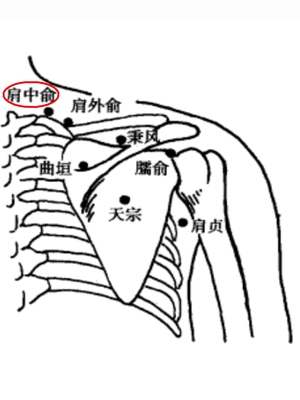 肩中俞穴