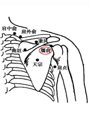 臑俞穴_臑俞穴的效果作用| 中国医药信息查询平台