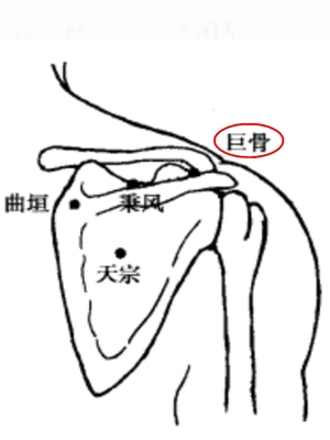 巨骨穴