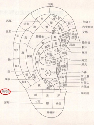 屏间后耳穴