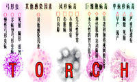TORCH综合征