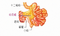 肠系膜脂膜炎