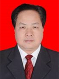 马显力