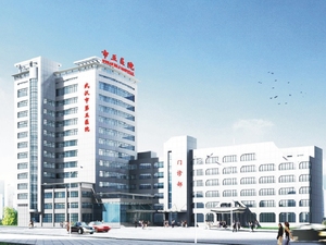 武汉市第五医院