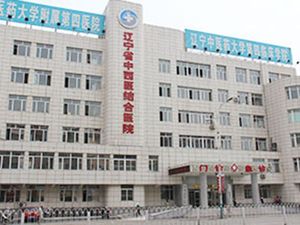 辽宁中医药大学附属第四医院