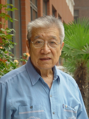 杨文质