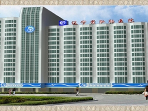 辽宁中医药大学附属第三医院