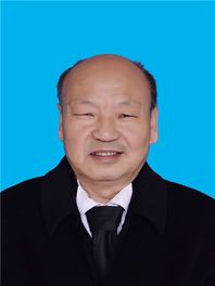 王树国