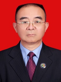 陈德磊
