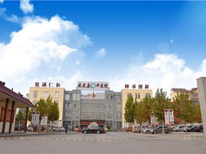 成武县中医医院