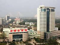 华润武钢总医院