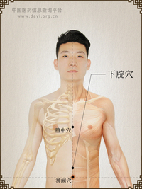 下脘穴