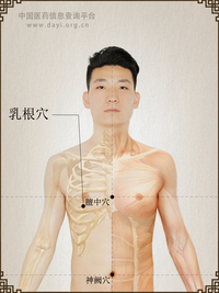 乳根穴