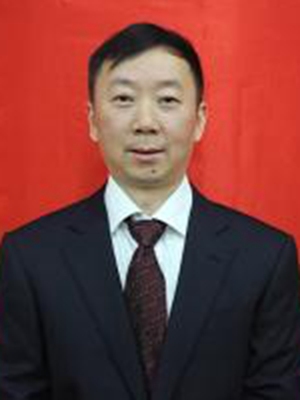 王导新
