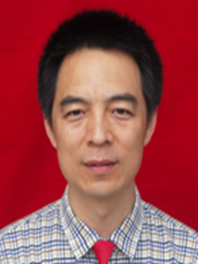 田向群