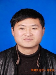 杨丽辉
