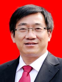 张定琳