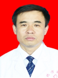 贺成君