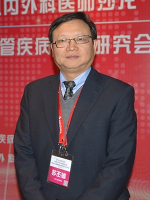 苏丕雄
