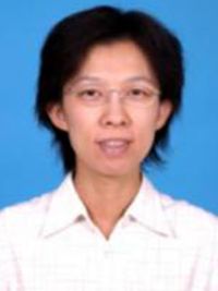 杨泓