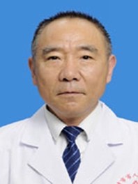 赵辉