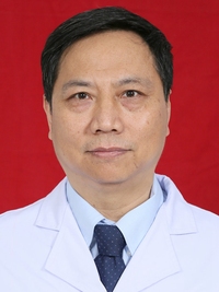 赵力
