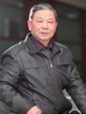 金实