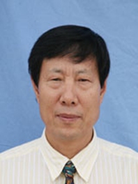王和平