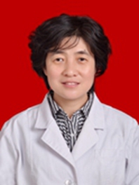 高月琴