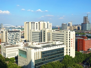 上海中医药大学附属龙华医院