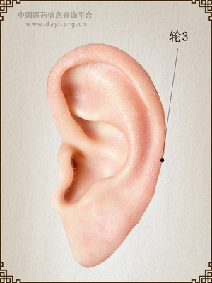 轮3耳穴