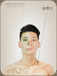 肩背穴