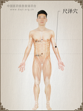 尺泽穴