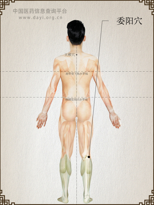 委阳穴