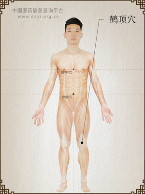鹤顶穴