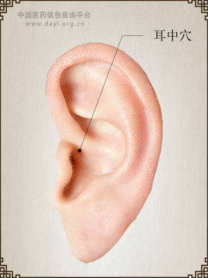 耳中穴