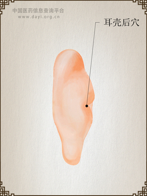 耳壳后穴