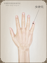 少冲穴