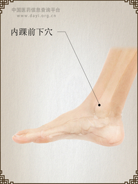 内踝前下穴